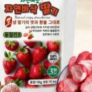자연과일야채
