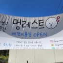 멍레스트 이미지