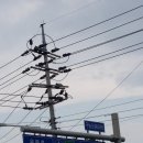 농도원네거리 이미지