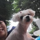 성삼공원 이미지