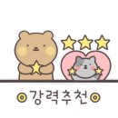 네일보소