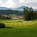 알프스대영 골프장 이미지
