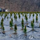 윤종석농장 이미지