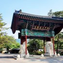 초록봉