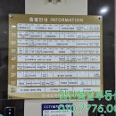 단정하개 이미지