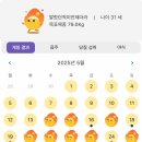 1.5kg 감량 성공!! 100BURN 백번랩 체중계 리얼후기