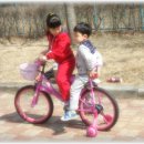 예은상사 Daum카페