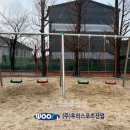 정교초등학교 이미지