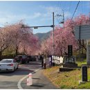 거창-남상-11 이미지