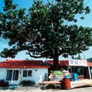 성심슈퍼 이미지