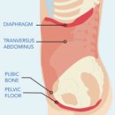 휘트니스 오름 이미지