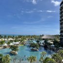 킹당구클럽 | [여행] 나트랑 아미아나 깜란 리조트 4베드룸 후기｜가족여행 숙소 솔직 리뷰