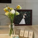 엘림카시트 | [임신 32주~37주] 이제 곧 만나자 우리 햇쌀이 (아기용품준비, 막달검사, 산후도우미 신청, gbs균 양성)