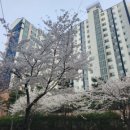 비움(Beum) 이미지