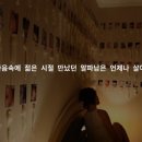 알파남 이미지