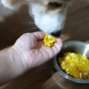 민철목장 네이버블로그