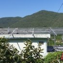 부성상사 이미지