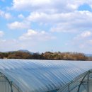 논밭상점 이미지