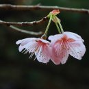 기억의 순간 이미지