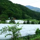 뽕이랑 귀농이랑 이미지