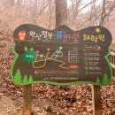 완산칠봉 유아숲체험원 이미지