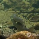 백천 이미지