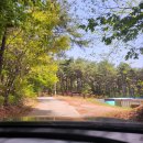 파인힐 캠프 이미지