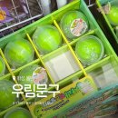 우림할인매장 | 동탄 왁뿌볼 파는곳 우림문구 말랑이 슬랑이 종류 가격 주말 방문후기