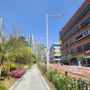 김포나진초등학교