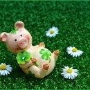 운이좋아 이미지