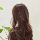 대평가든 이미지