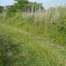 조천체육관 체육관 이미지