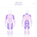 띵가푸드 이미지
