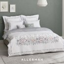 알레르망 이미지