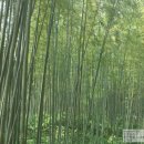 김재원행정사사무소 이미지