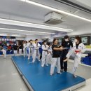 경희대박사 태산태권도 이미지