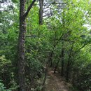 작두산성鵲頭山城 | ♬ [200대 명산] 청주 구룡산, 양성산, 작두산 종주산행(3)