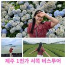 제주도뚜벅이여행 :: 서쪽 한바퀴 제주1번가 버스투어로 편하게 돌아본 후기(강추)