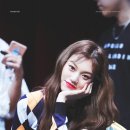 다도연 이미지
