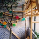 오션 캣 | 🐾 고양이 동반 숙소 찾는다면?영덕 오션뷰 퍼플캣펜션 – 국내 유일 고양이 전용 펜션