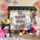 멍스 크로스 | 화성 봉담 애견카페 멍스크로스 설날포토존,2번째 방문후기 설날 의상까지 너무 완벽한 애견카페