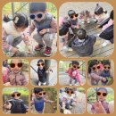 나무와꿈어린이집 | (🥰아이들에게 꿈을 심어 주는 송파구 삼전동 새빛어린이집 소식)~~🌳장지유아숲 숲체험 후기 🌳