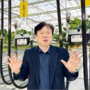 농업 | 적도벨트에 스마트팜 수출…40억명 공략 | 한국경제 이미지
