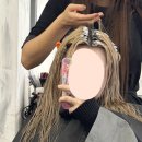 레베헤어 - 원주시 남원로469번길 39 | 홍대 미용실 뿌리탈색&쿨톤염색 애쉬베이지 후기 외국아기머리색 코토리베이지 마센느헤어 소담