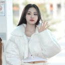 수연 이미지