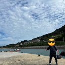 |여수낚시| 여수백야도 감성돔 낚시 생활권 보도권 낚시 감성돔 포인트