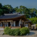 초록마을강릉