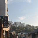 녹색평야