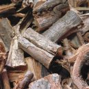 느릅농장 이미지