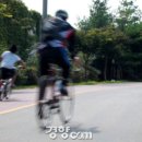 [여행-길,숲,섬]두 바퀴로 즐기는 자연여행, 인천 소래길 자전거도로 *^^* 이미지